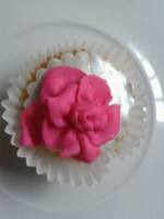 Cupcakes with fondant icing/uni